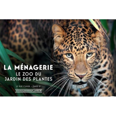 MÉNAGERIE - ZOO JARDIN DES PLANTES