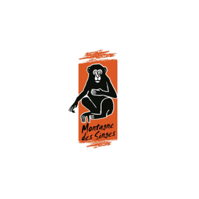 MONTAGNE DES SINGES