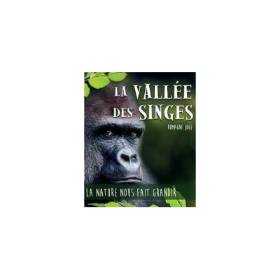 VALLÉES DES SINGES