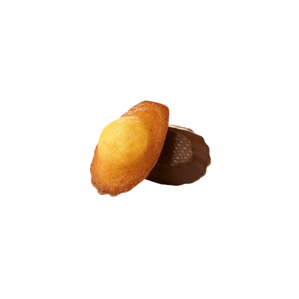 Madeleines ChocoNoir