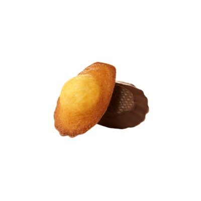 Madeleines ChocoNoir