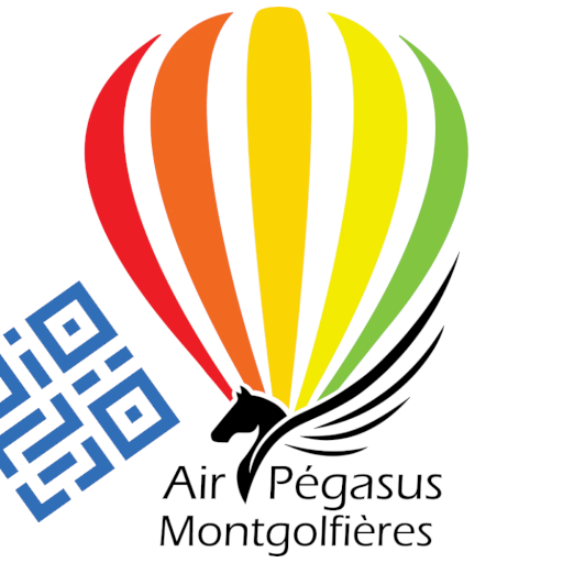 AIR PEGASUS MONTGOLFIÈRES - ADULTE (à partir de 12 ans)
