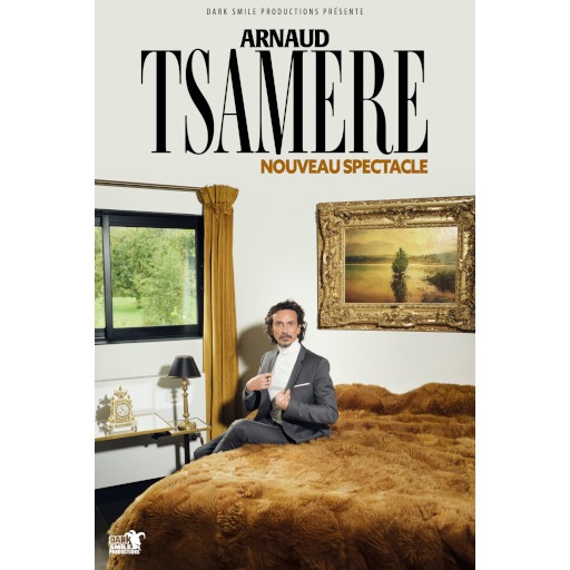 ARNAUD TSAMERE - 25/03/27 à 20h - TROYES