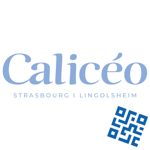 CALICEO STRASBOURG-LINGOLSHEIM - PASS 2h