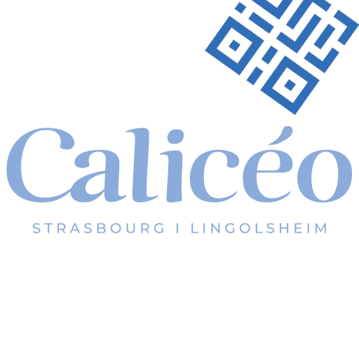 CALICEO STRASBOURG-LINGOLSHEIM - PASS 2h