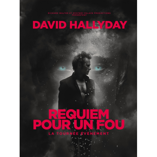 DAVID HALLYDAY - REQUIEM POUR UN FOU - 20/11/26 à 20h30 - TROYES