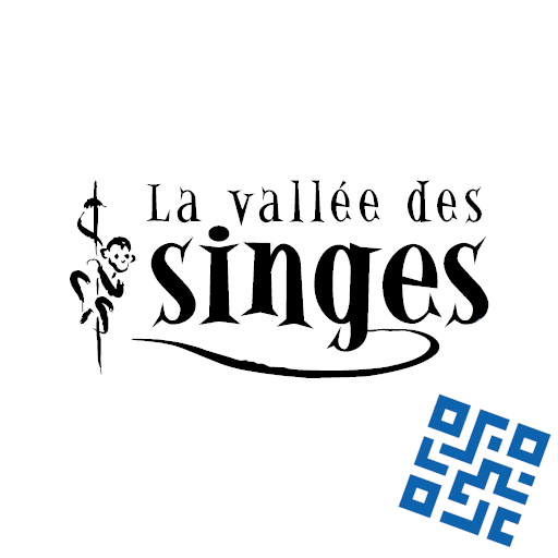 VALLÉE DES SINGES