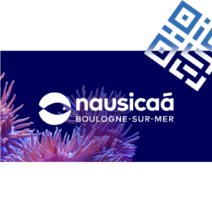 NAUSICAA