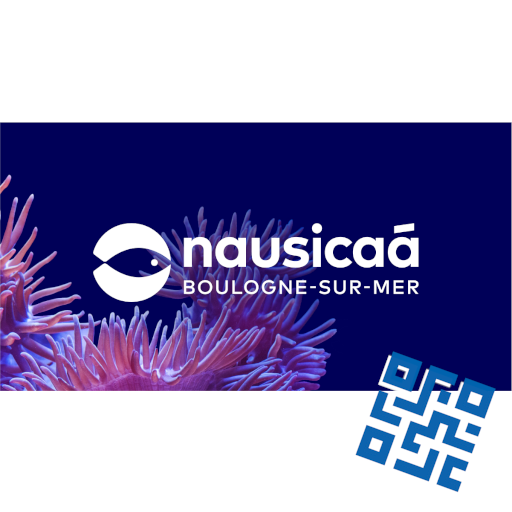 NAUSICAA